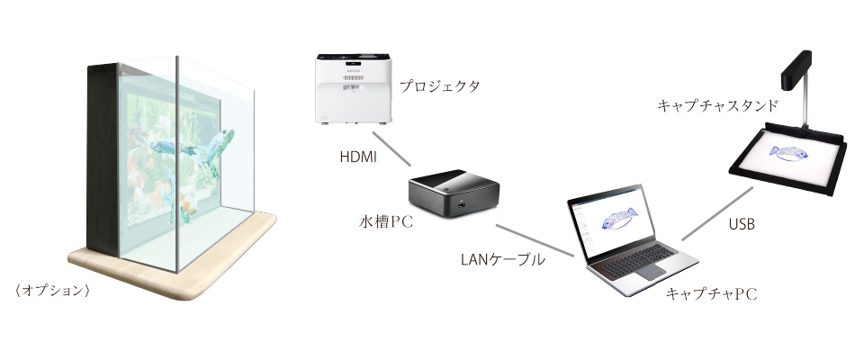 システム構成